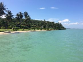 38825347_897483973779615_199616993152729088_n